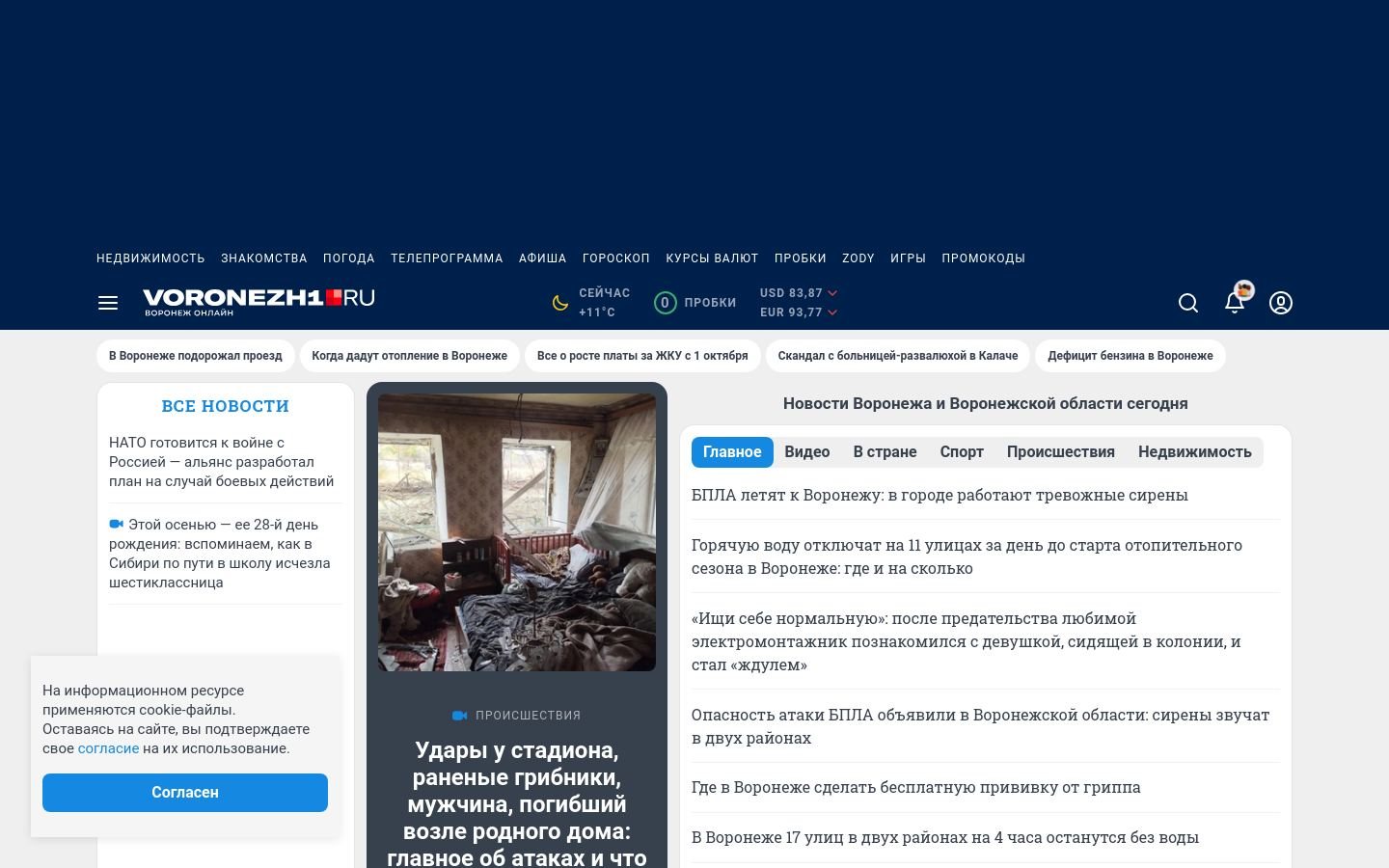 Снимок voronezh1.ru