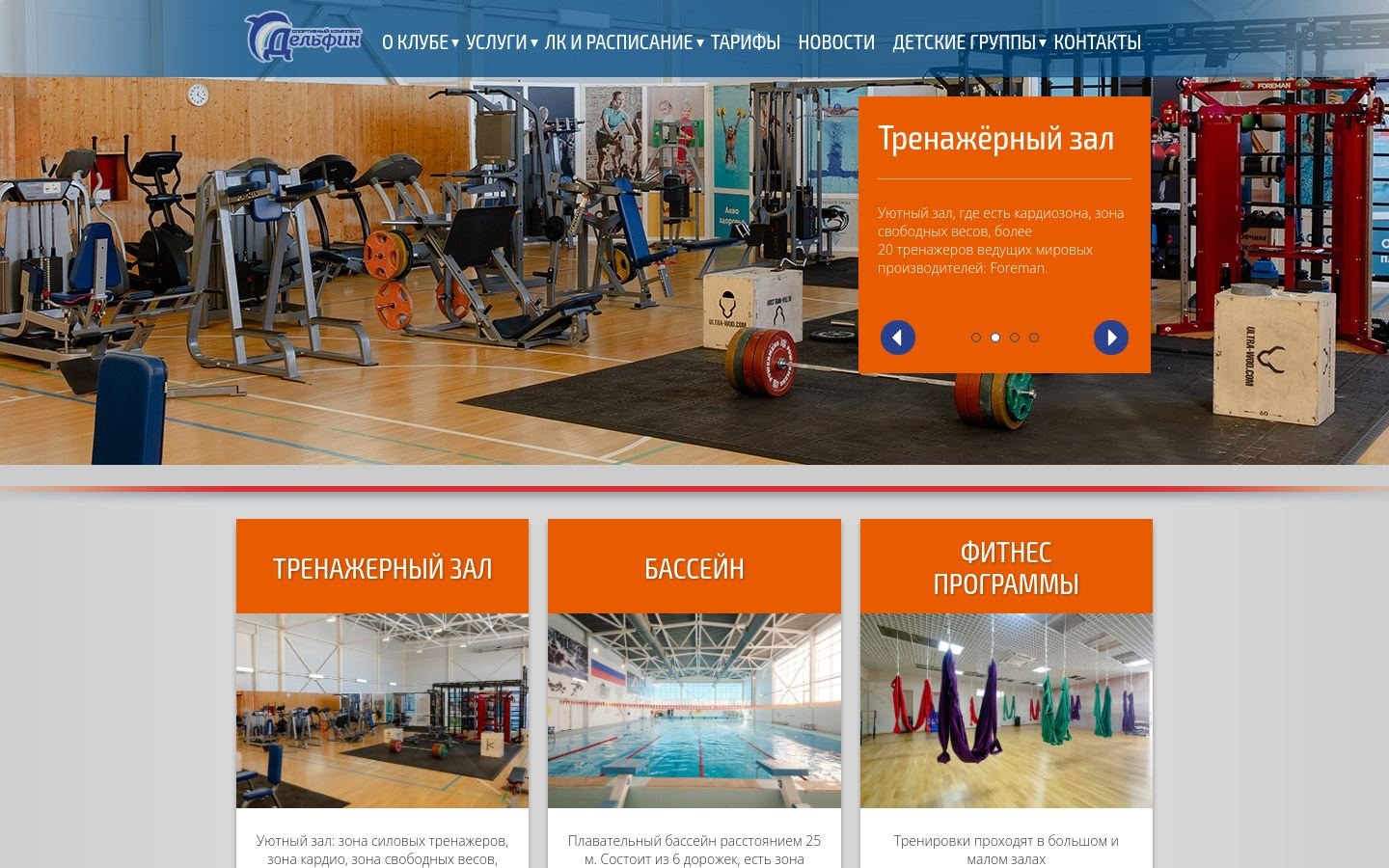 Снимок delfin62.ru