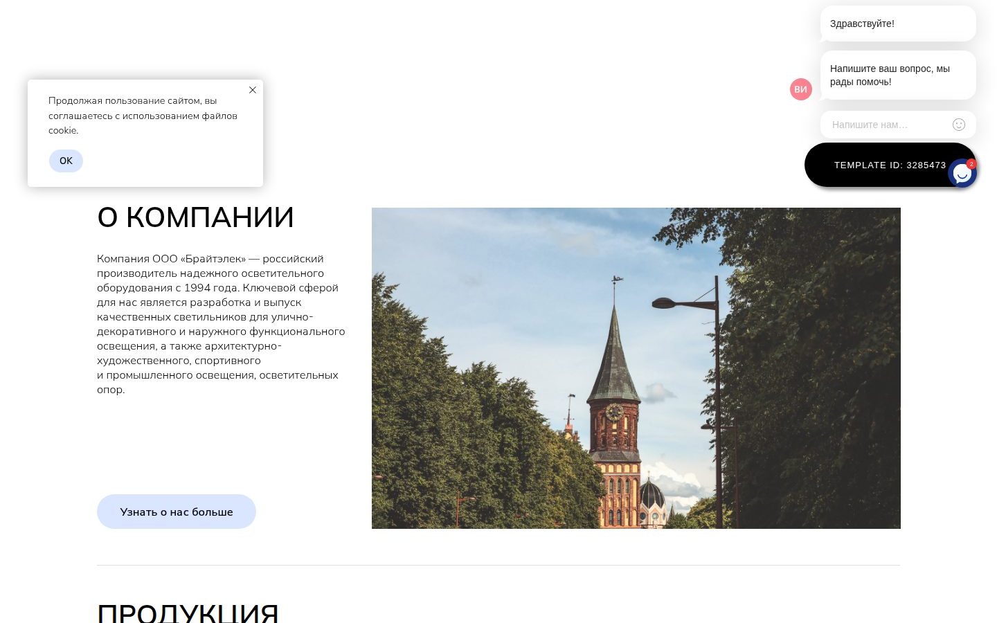 Снимок brightelec.ru