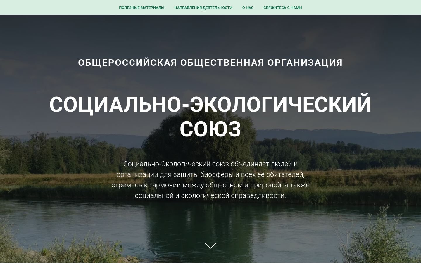 Снимок rusecounion.ru