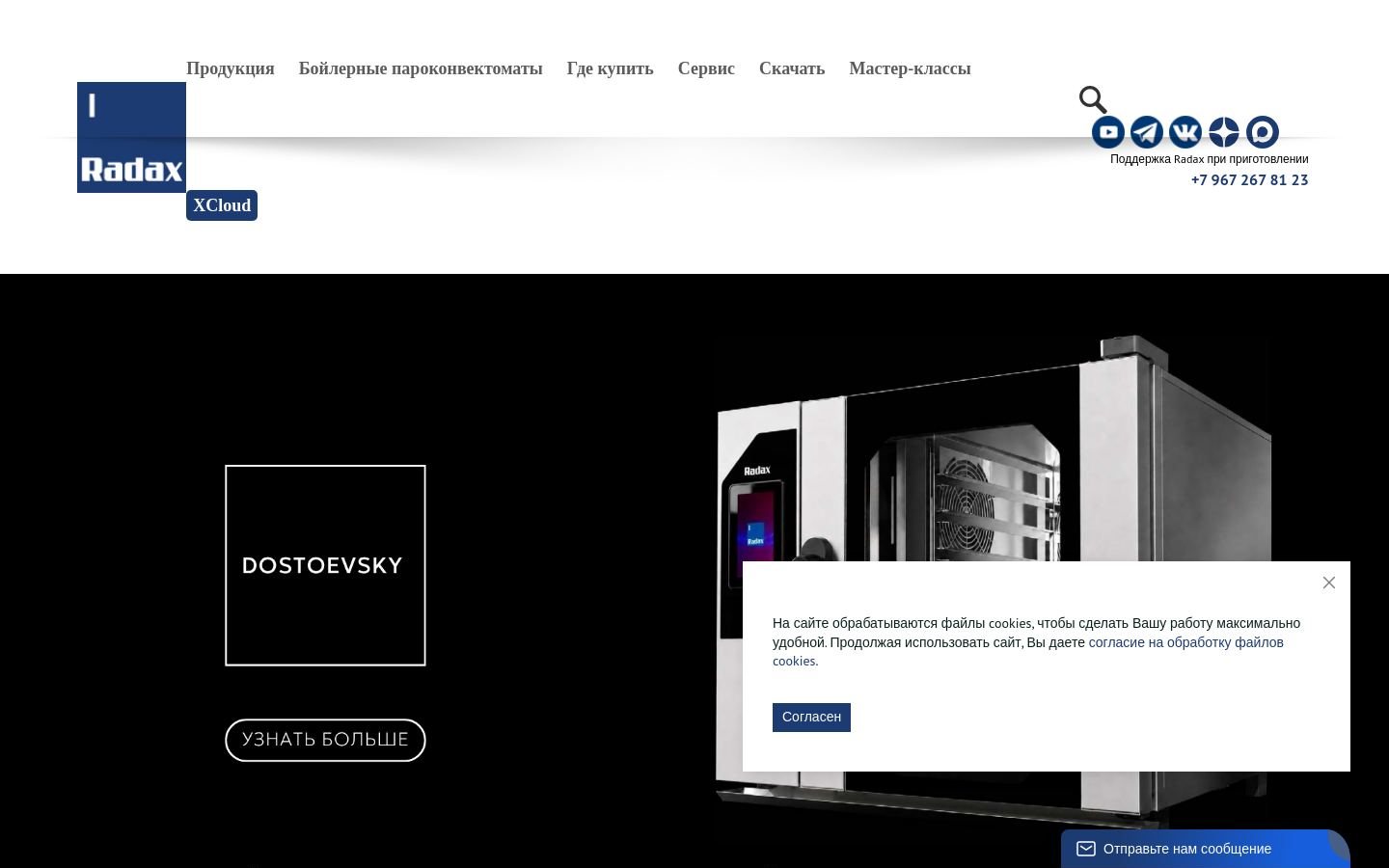 Снимок radaxovens.ru