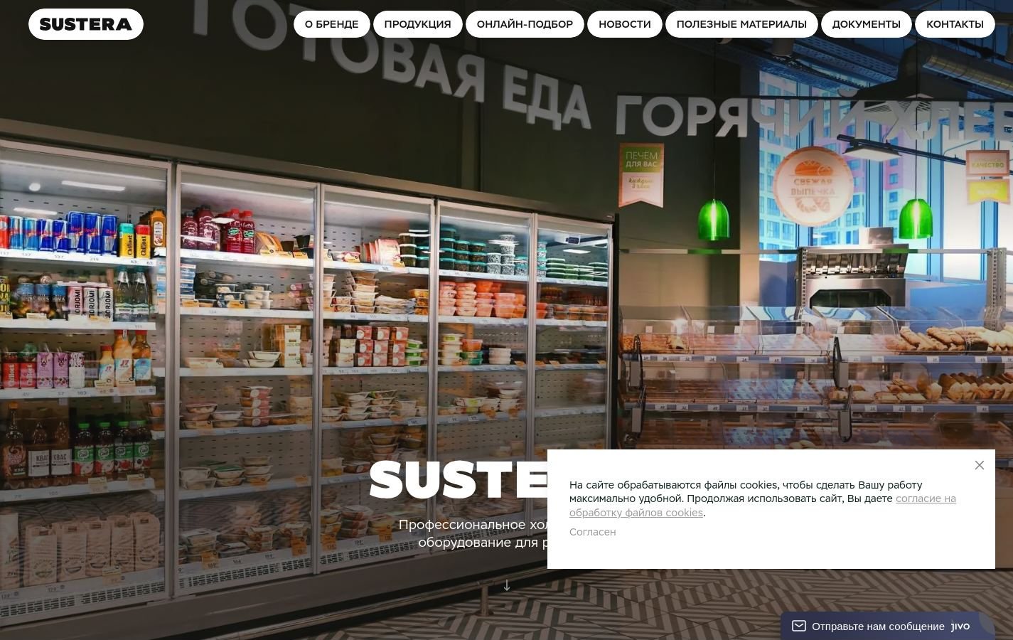 Снимок sustera.ru