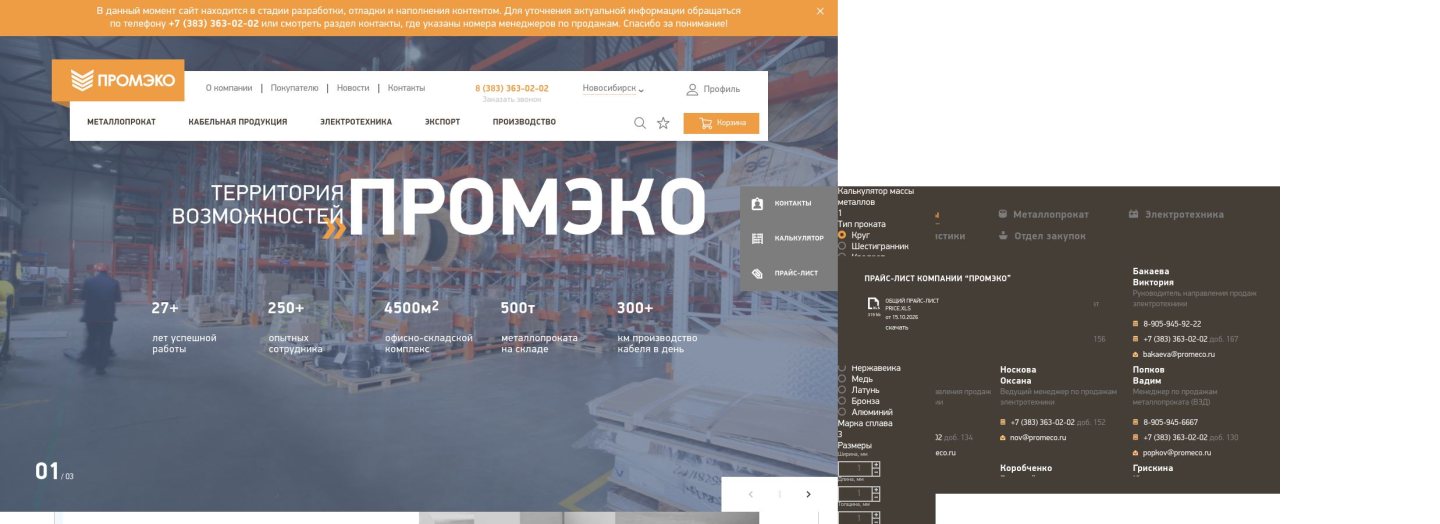 Снимок главной страницы promeco.ru