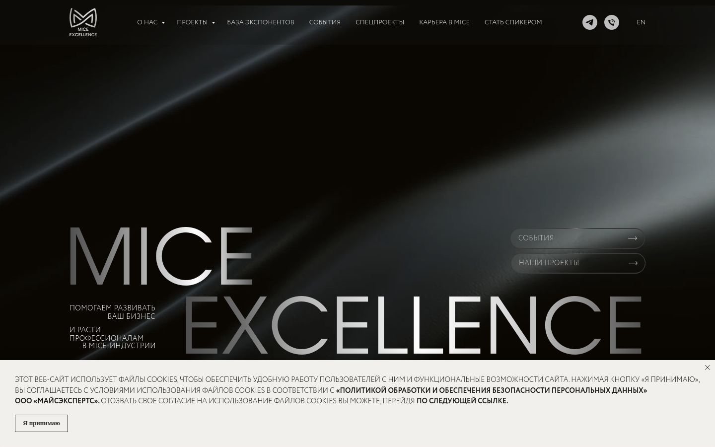 Снимок mice-excellence.ru