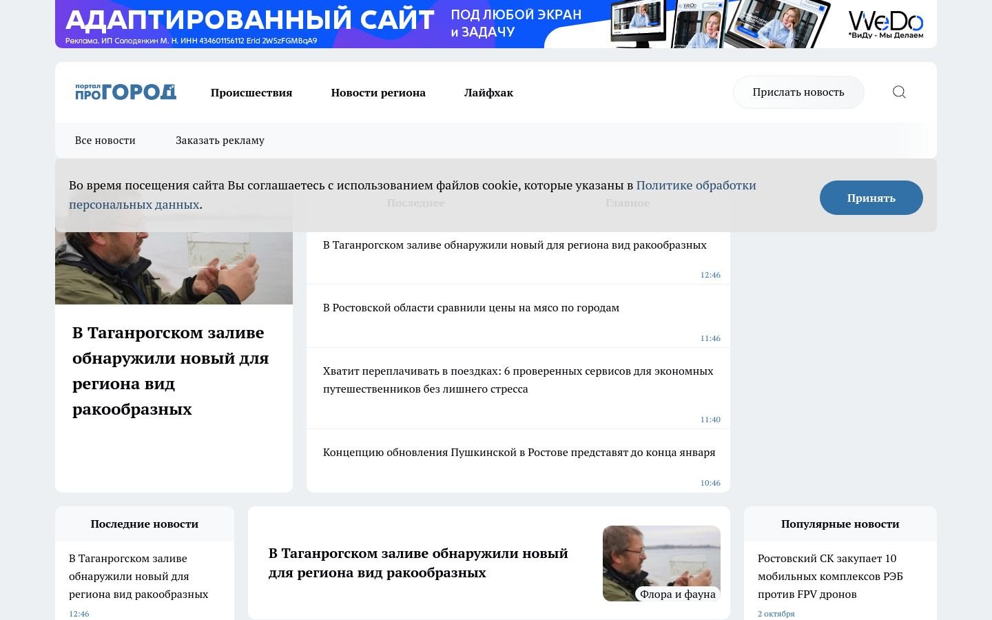 Снимок inforostov.ru
