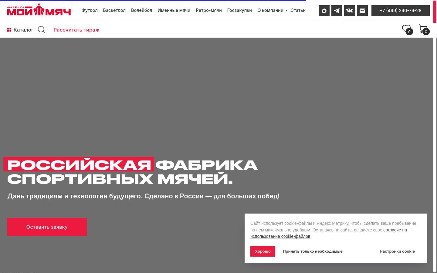 Снимок moymyach.ru