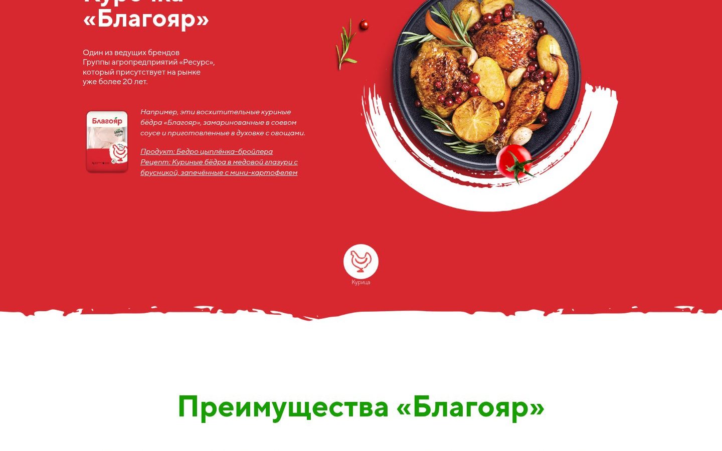 Снимок главной страницы blagoyar.ru