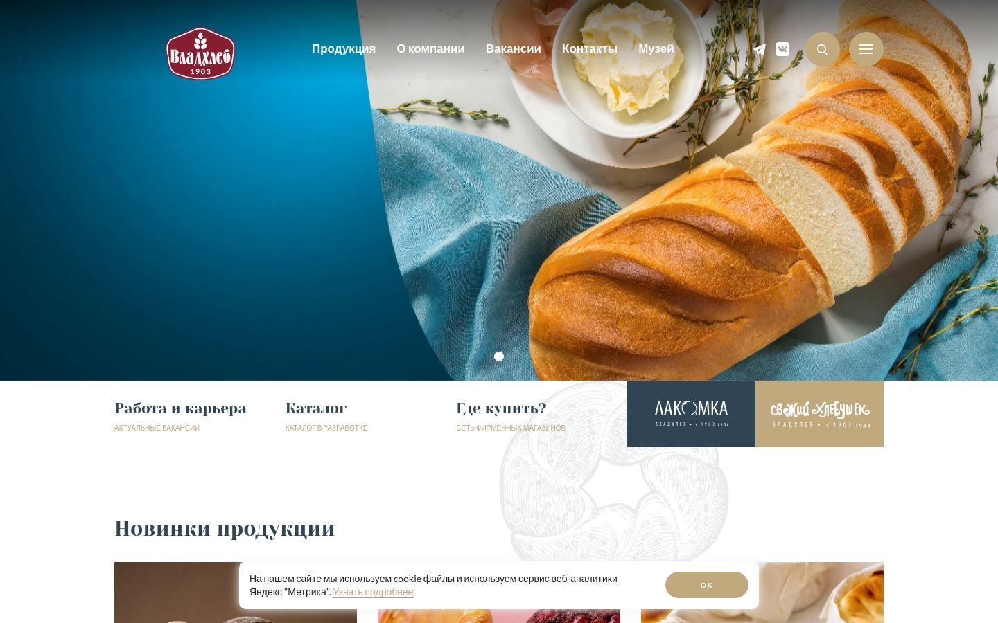 Снимок vladhleb.ru