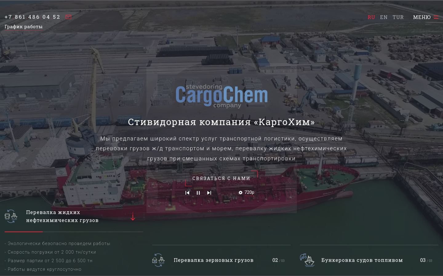 Снимок cargochem.ru
