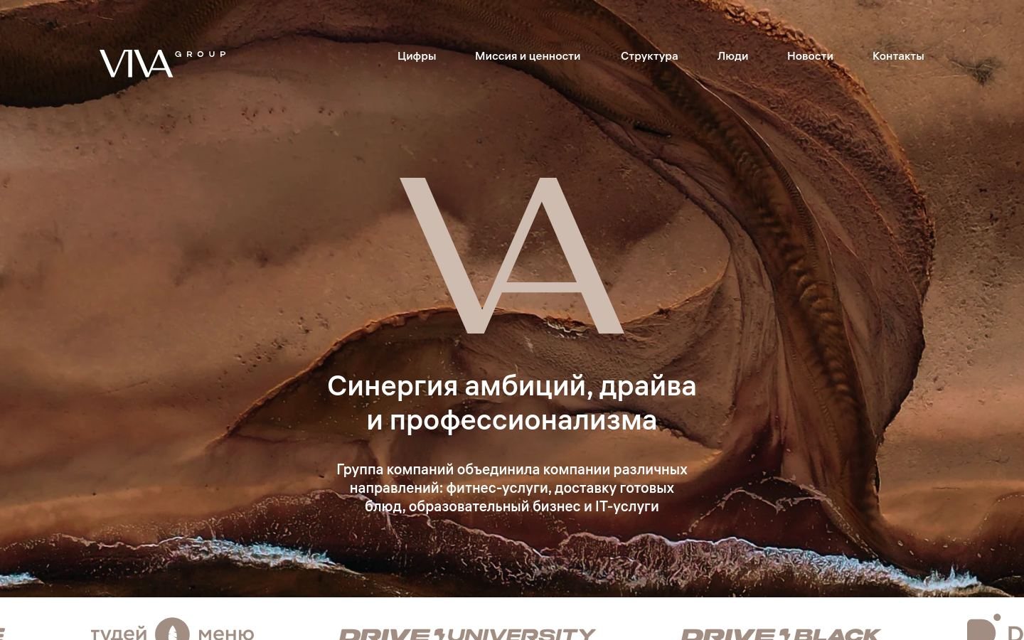 Снимок viva-group.ru