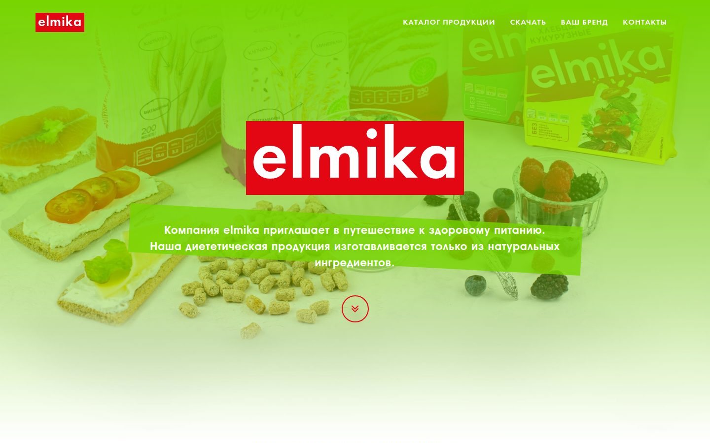 Снимок elmika.ru