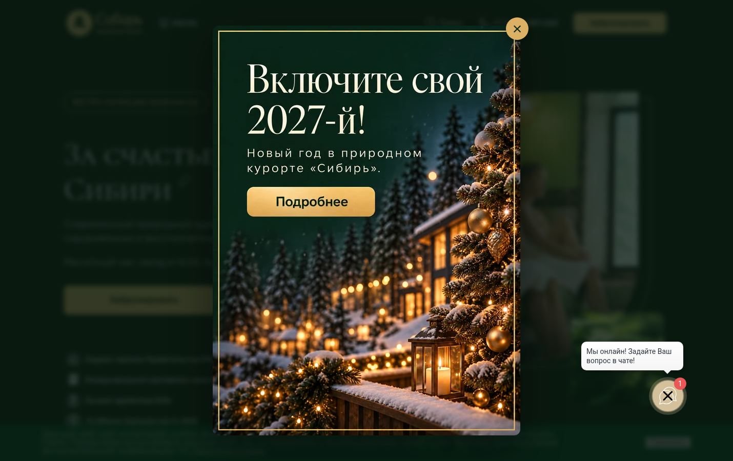 Снимок sibircentr.ru