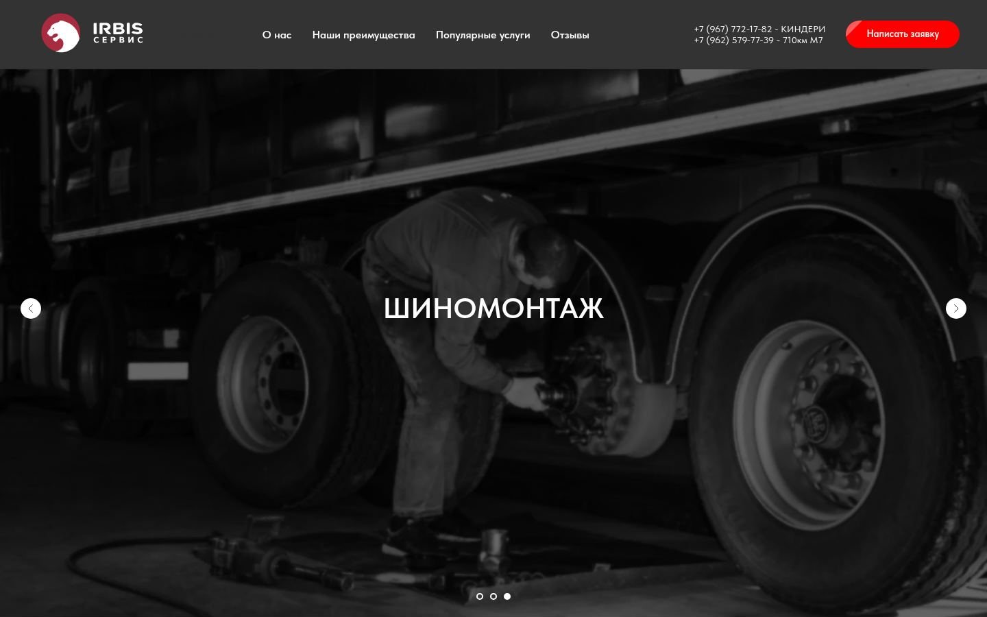 Снимок irbissto.ru
