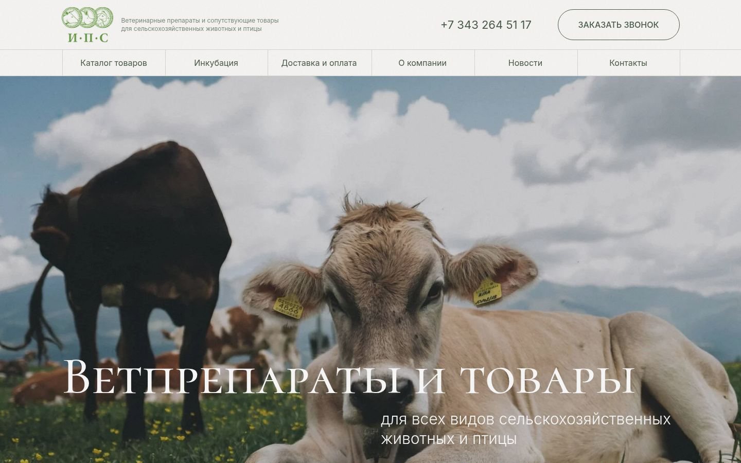 Снимок главной страницы ips66.ru