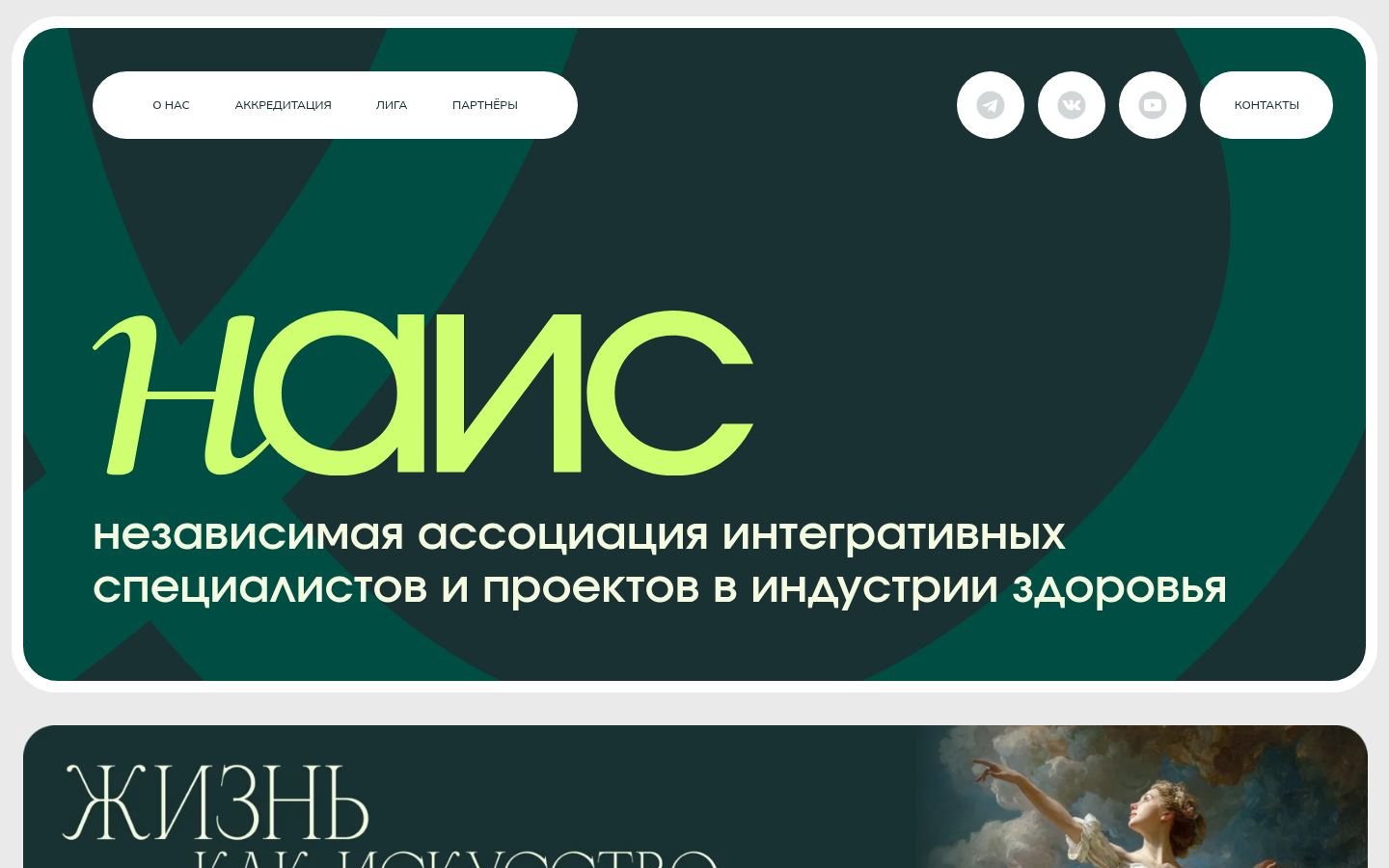 Снимок vnais.ru