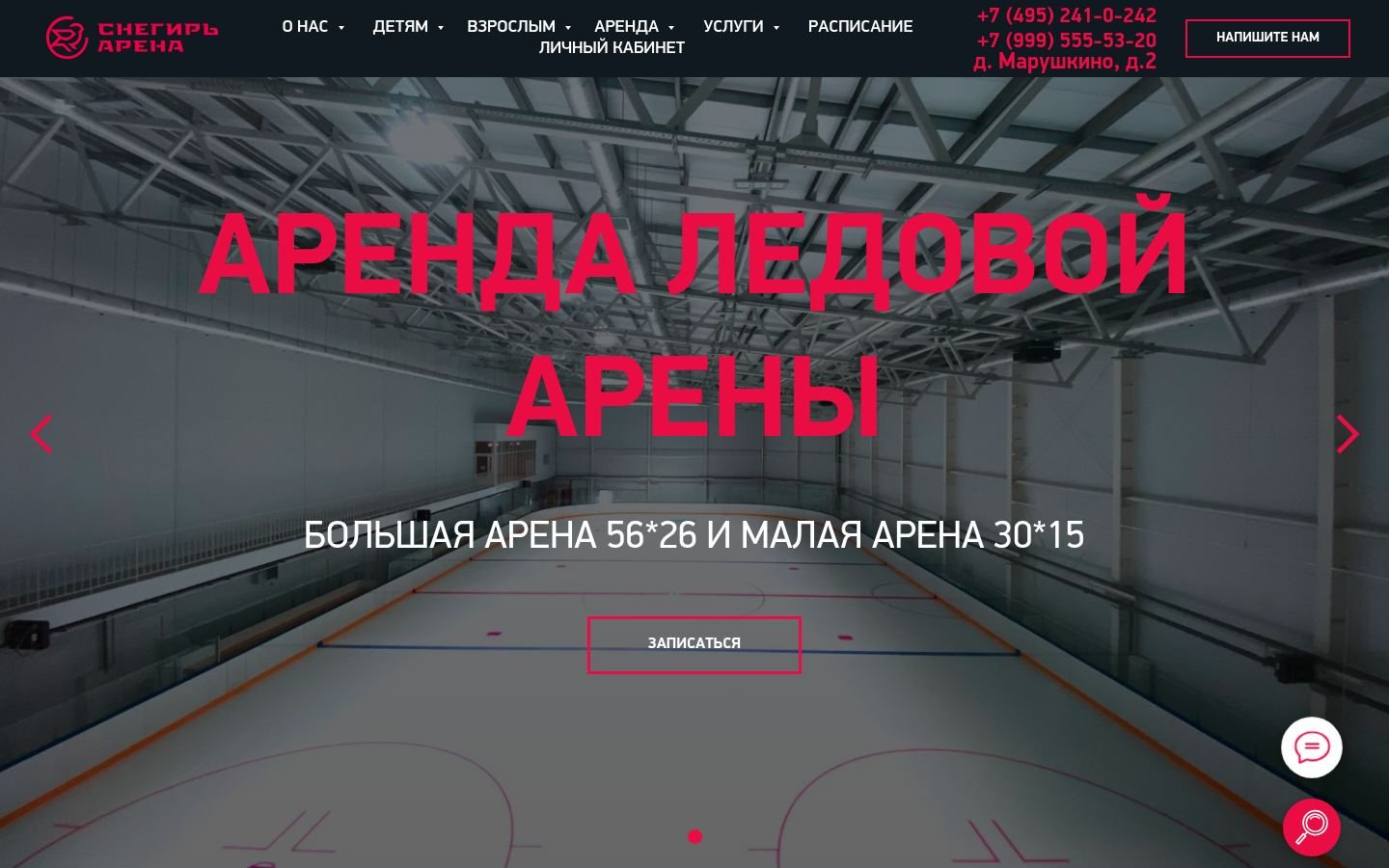 Снимок arenasnegir.ru
