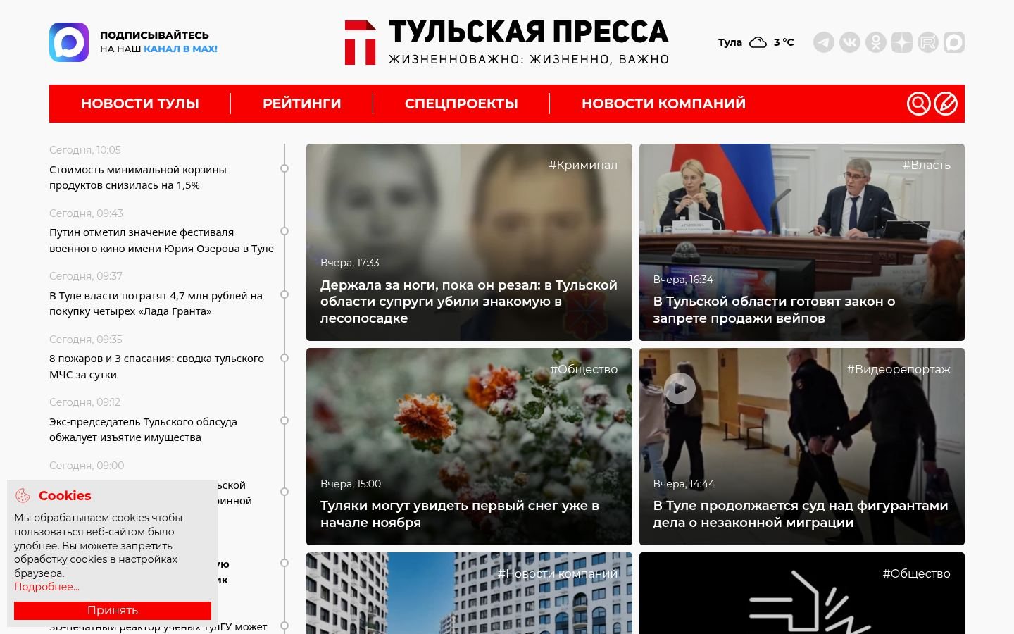 Снимок tulapressa.ru