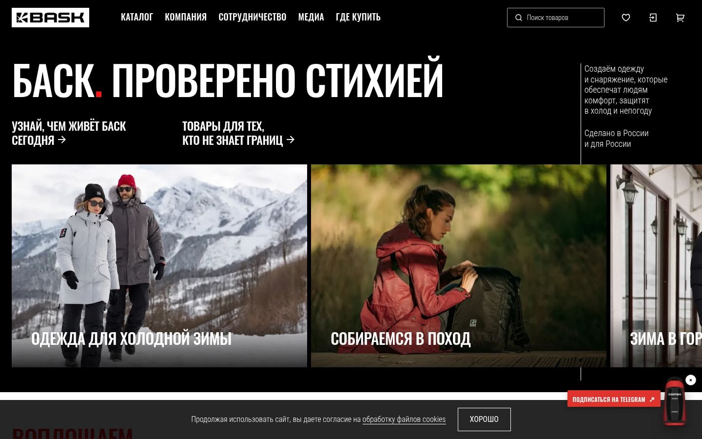 Снимок главной страницы bask.ru