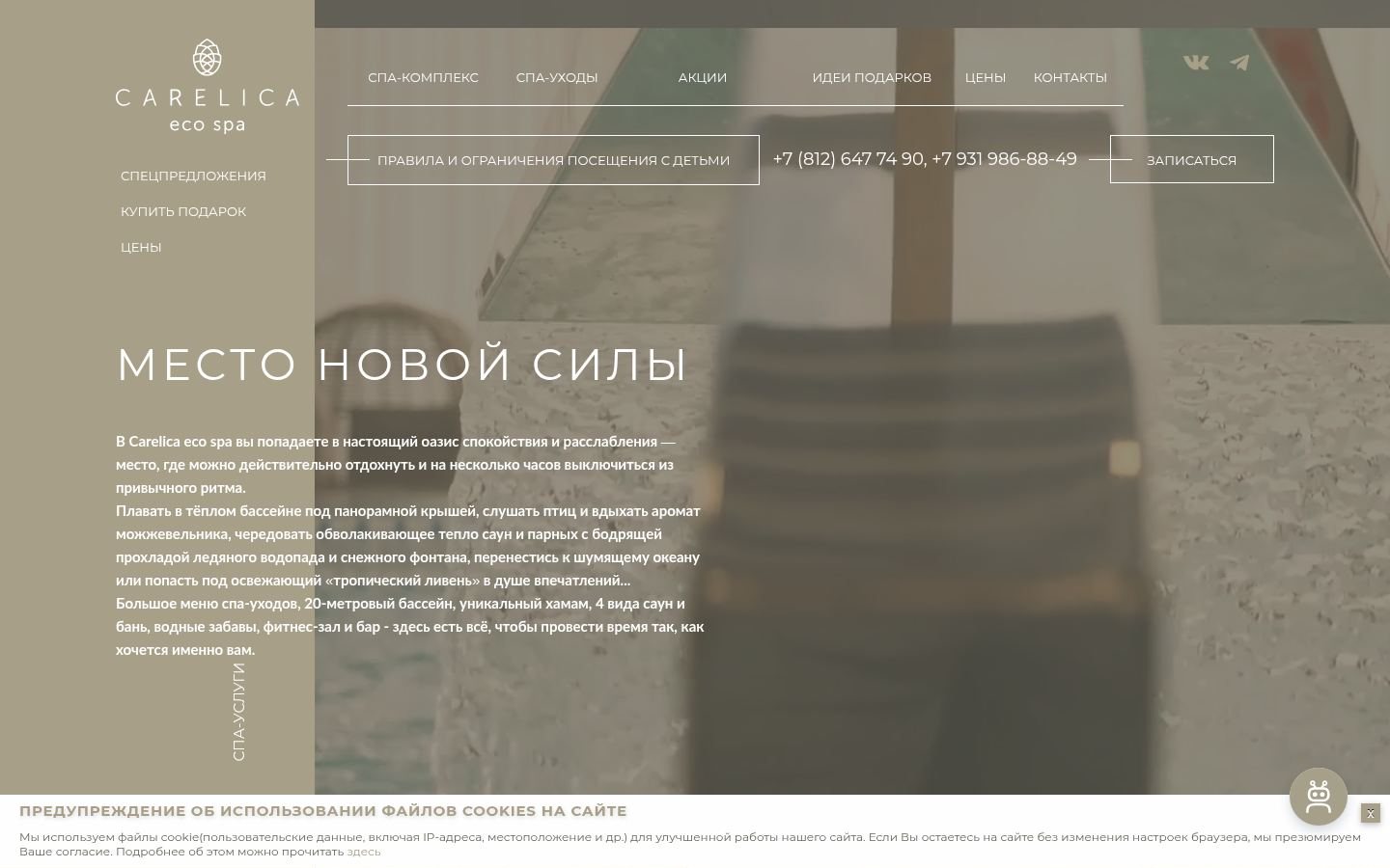 Снимок carelicaspa.ru