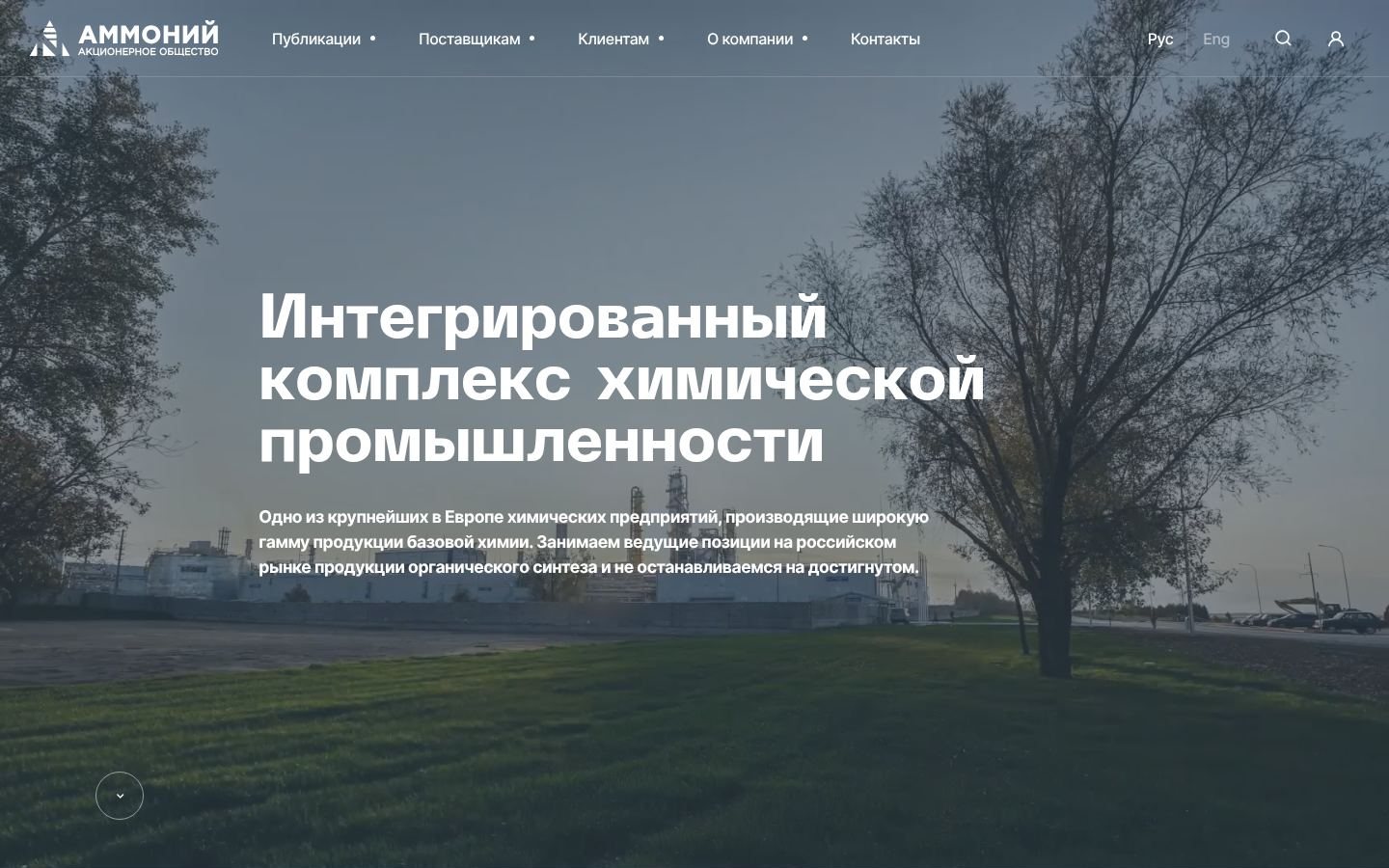 Снимок ammoni.ru