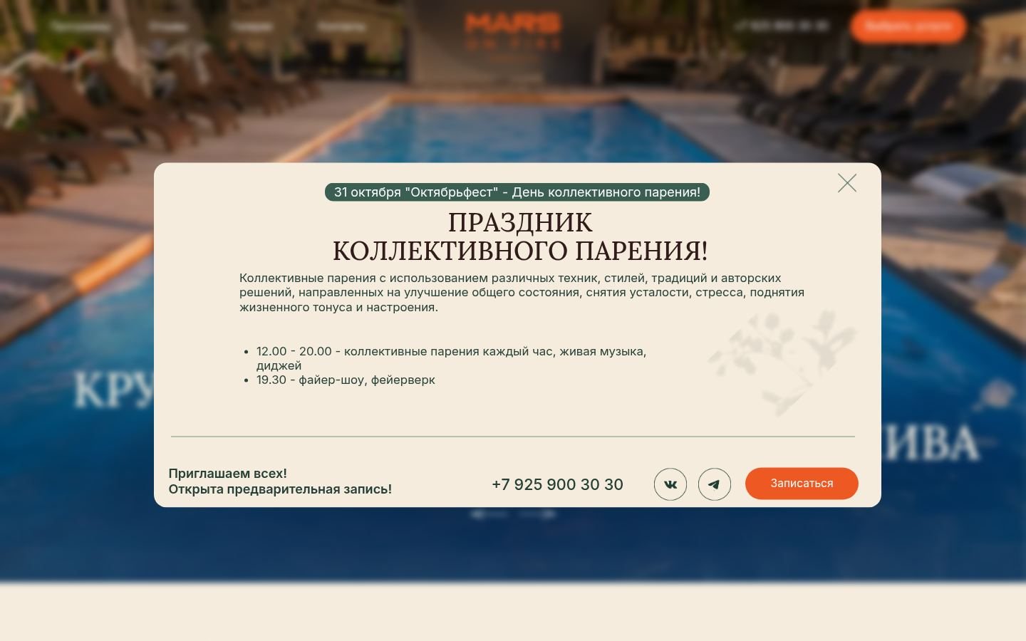 Снимок главной страницы spamars.ru