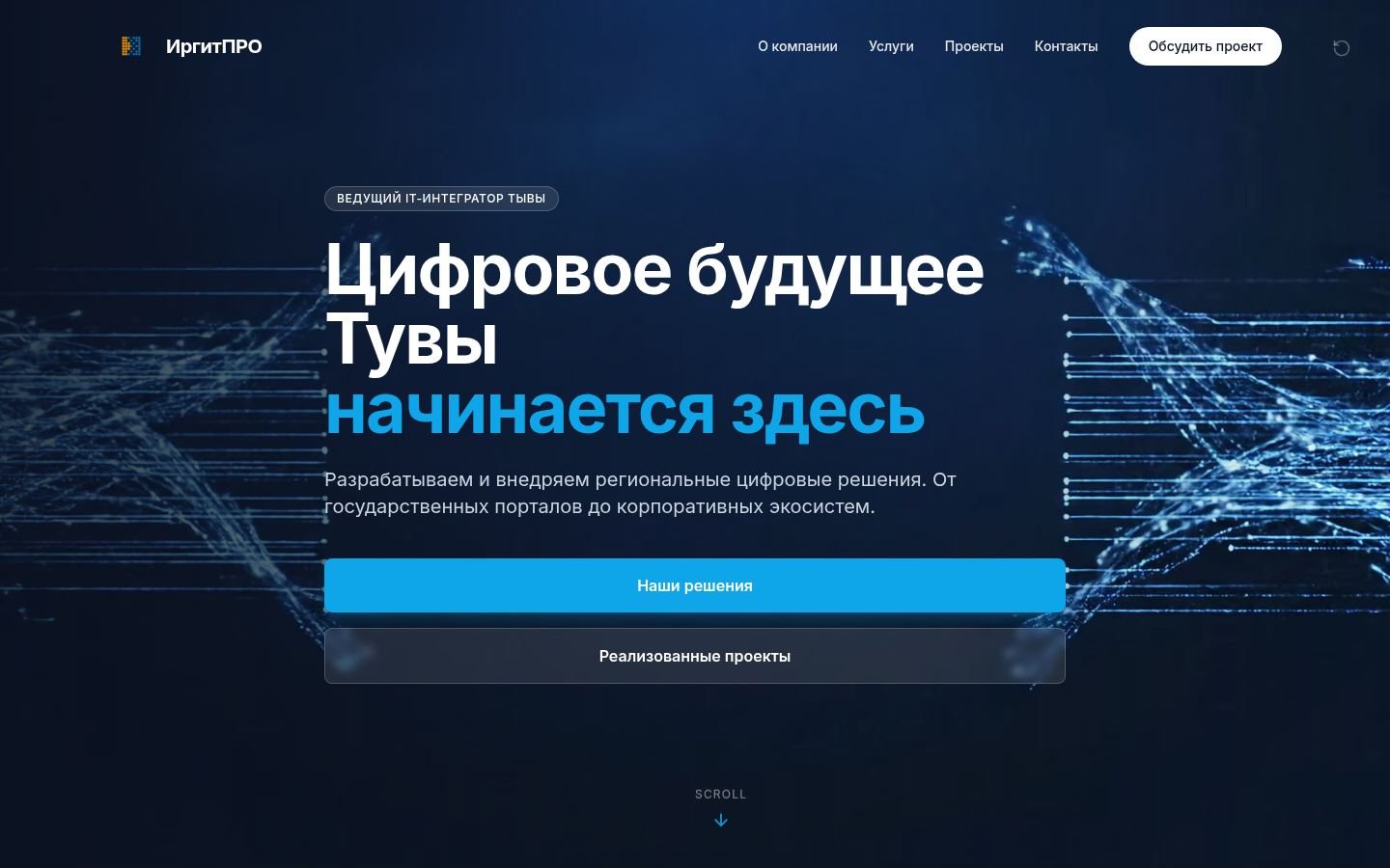Снимок irgitpro.ru