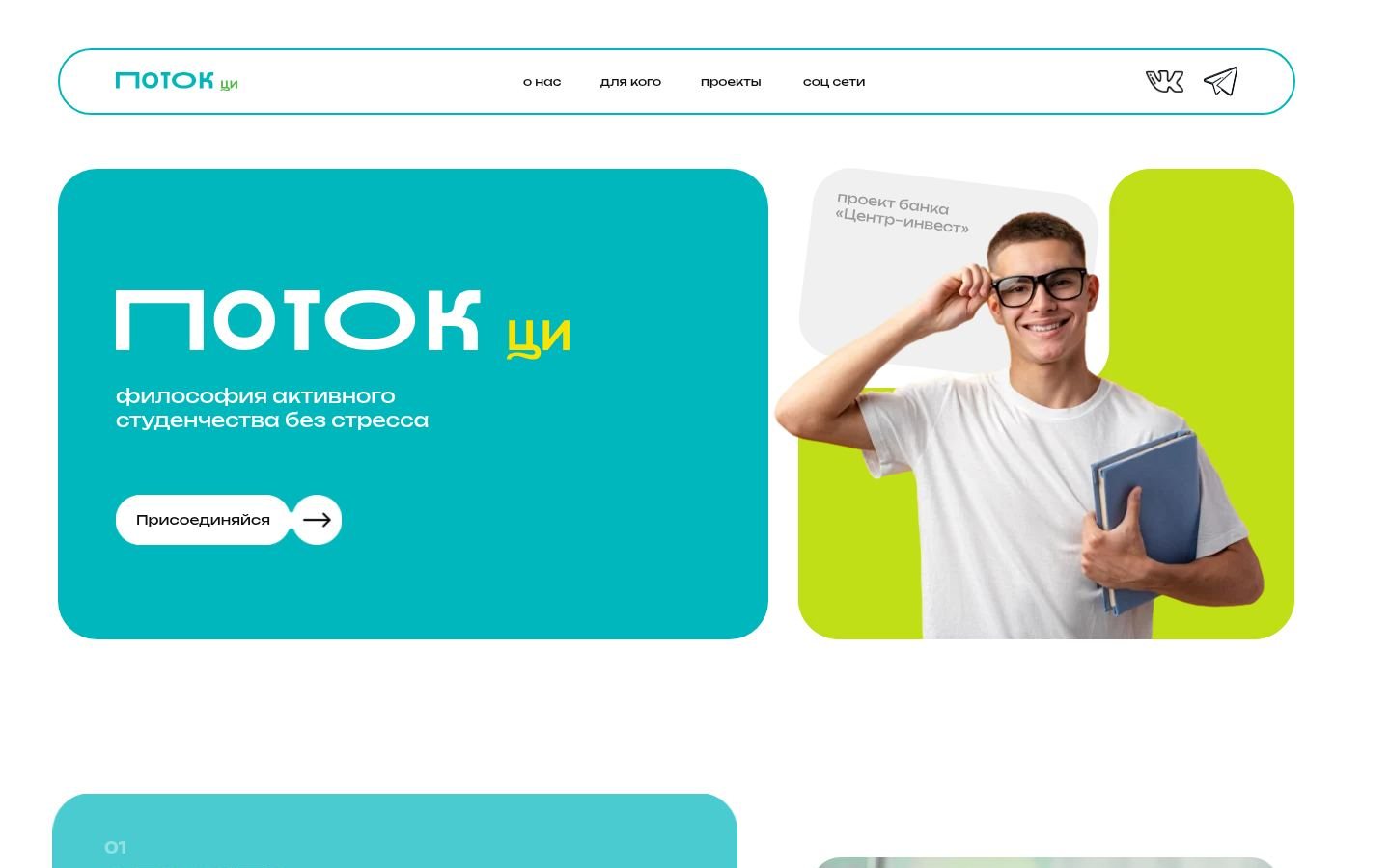 Снимок potokci.ru