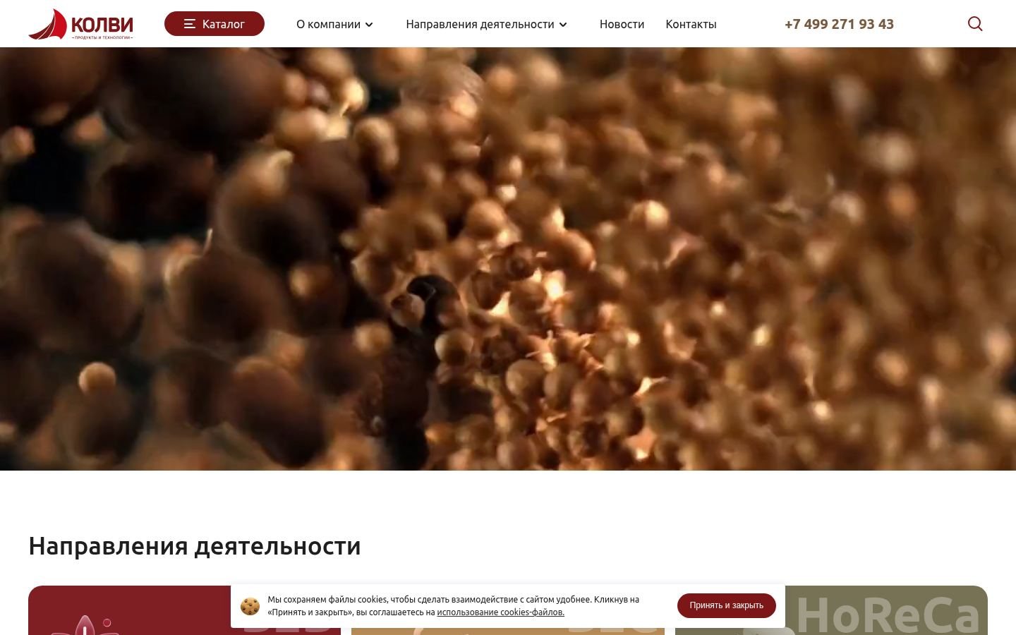 Снимок kolvy.ru