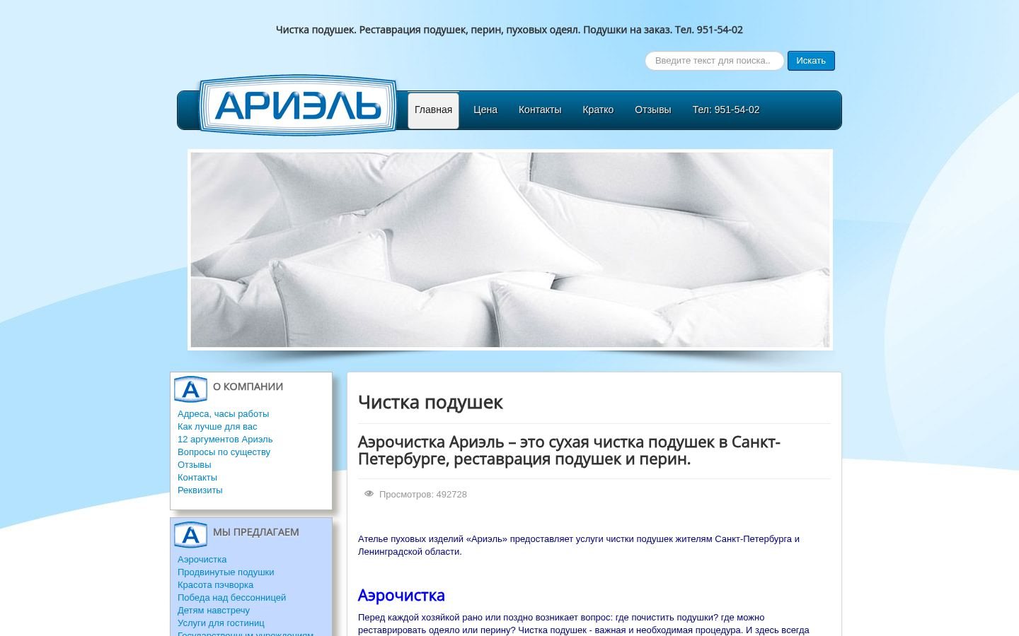 Снимок ariel-neva.ru