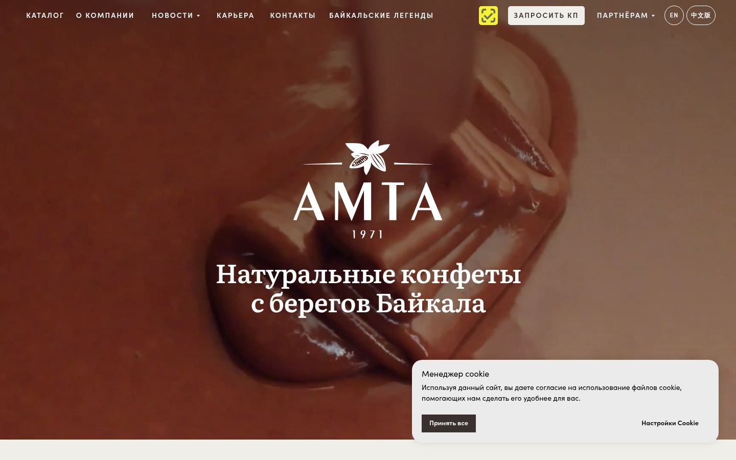 Снимок главной страницы amta.ru